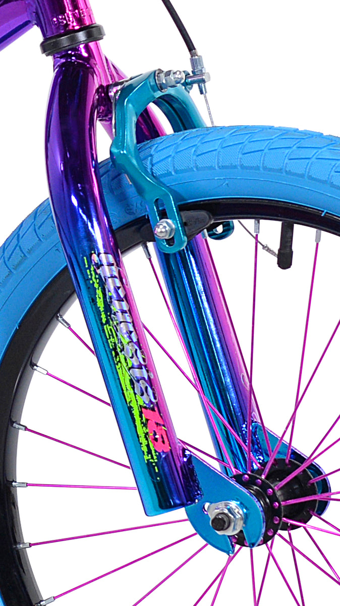 Girls Illusion BMX Bike 18 Wheels w Removable Training Wheels Blue Free Spirit Riders